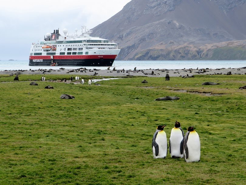 Expedition cruise ship anchored offshore with king penguins and seals in the foreground