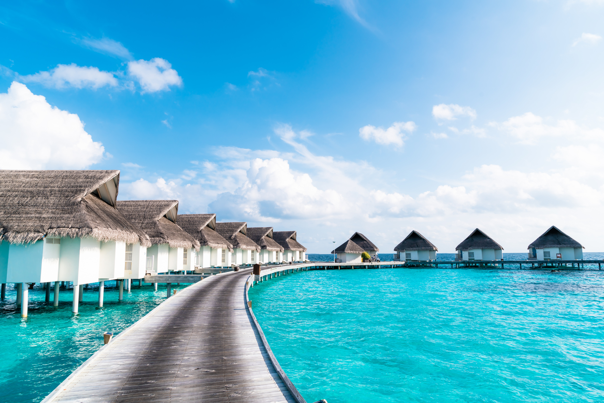 Luxury beachfront resort with an infinity pool overlooking the sea